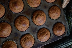 Heirloom Oaxacan Corn Muffins